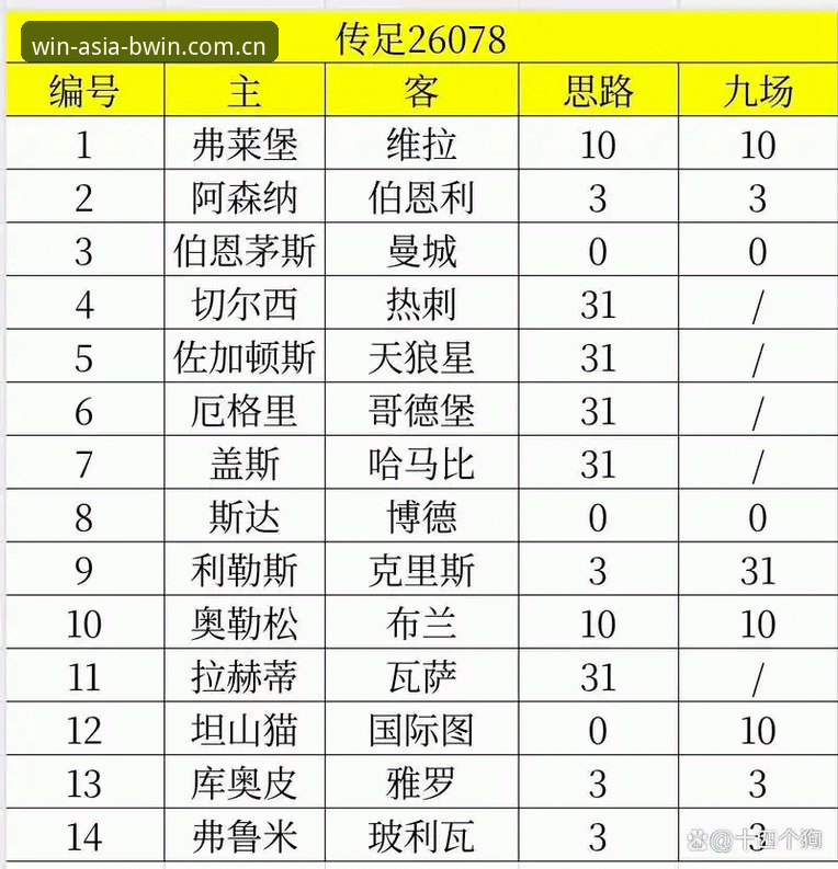 欧联杯决赛观赛实用指南：维拉3-0大胜弗赖堡的深度解析与投注启发